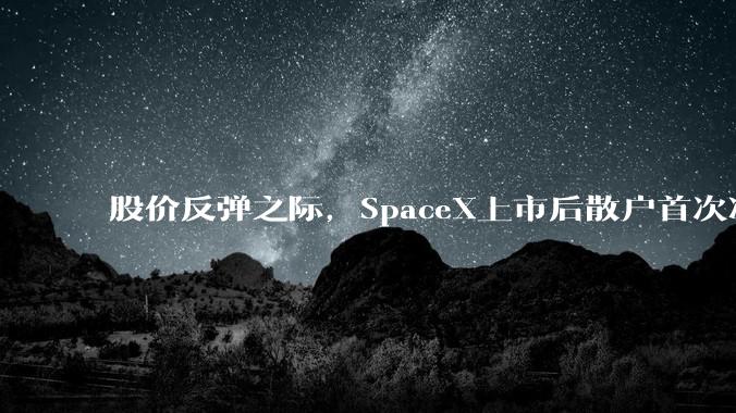 股价反弹之际，SpaceX上市后散户首次净卖出_该公司_市场_现汇