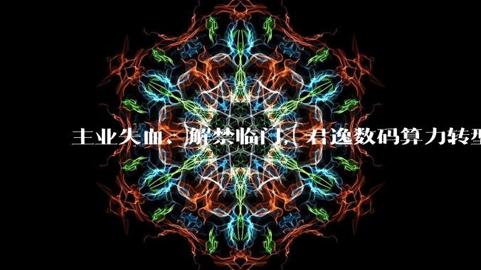 主业失血、解禁临门，君逸数码算力转型“三箭齐发”，时机值得细看_公司_项目_智慧