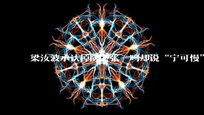 梁汝波承认掉队，张一鸣却说“宁可慢”：字节AI在赌什么_模型_Seed_能力