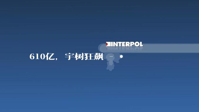 610亿，宇树狂飙 - *