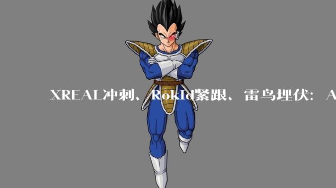 XREAL冲刺、Rokid紧跟、雷鸟埋伏：AI眼镜第一股倒计时 - *