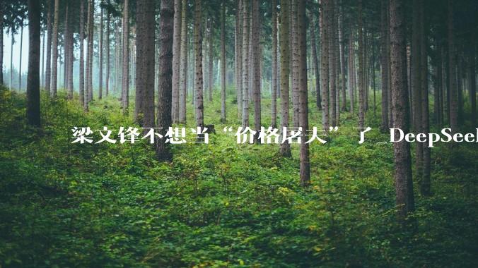 梁文锋不想当“价格屠夫”了_DeepSeek_Token_模型