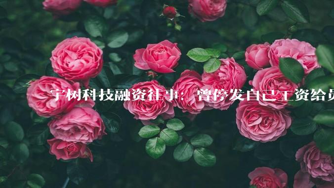 宇树科技融资往事：曾停发自己工资给员工发薪；如今市值几千亿，王兴兴还在一线画图、写代码_技术_机器人