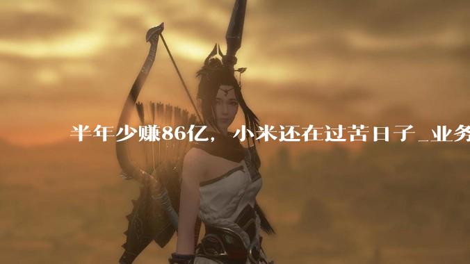 半年少赚86亿，小米还在过苦日子_业务_汽车_同比