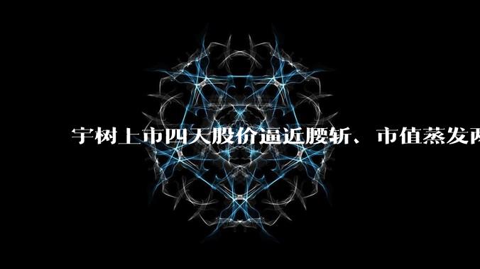 宇树上市四天股价逼近腰斩、市值蒸发两千亿：王兴兴的烦恼，才刚刚开始_公司_机器人_定价
