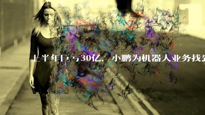 上半年巨亏30亿，小鹏为机器人业务找到新“金主”_同比_汽车_公司