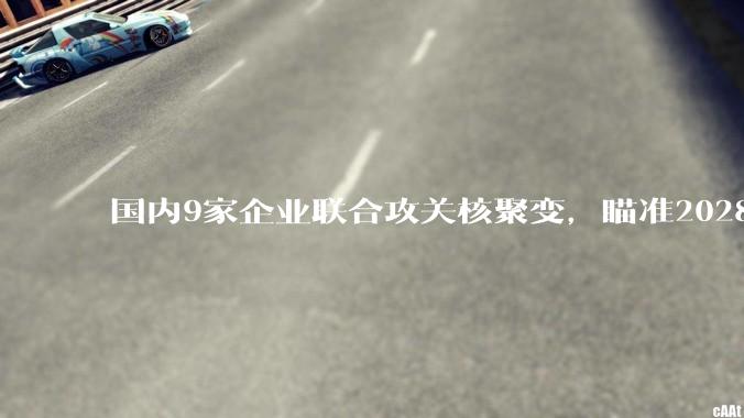 国内9家企业联合攻关核聚变，瞄准2028年_中国_装置_环流