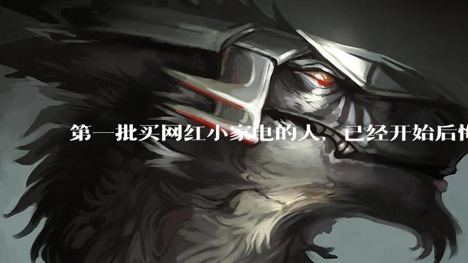第一批买网红小家电的人，已经开始后悔了。_小熊_电器_需求