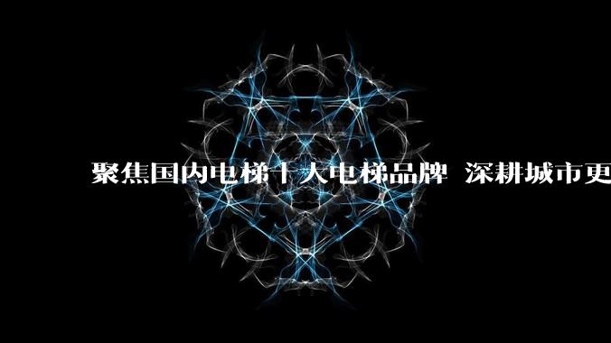 聚焦国内电梯十大电梯品牌 深耕城市更新与地标工程建设 - *