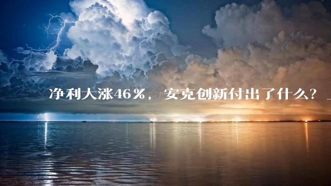 净利大涨46%，安克创新付出了什么？_收入_品牌_渠道