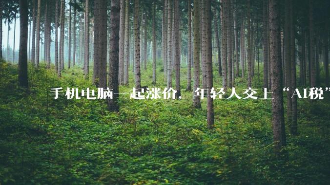 手机电脑一起涨价，年轻人交上“AI税”_机型_涨幅_旗舰