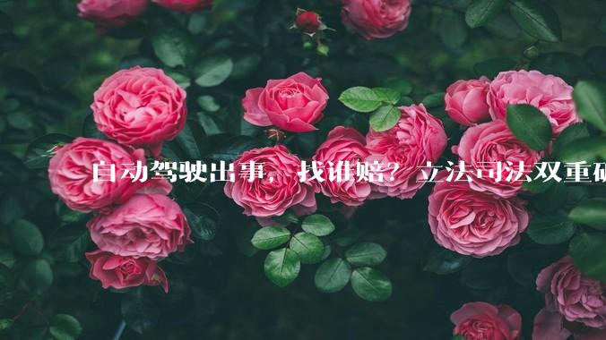 自动驾驶出事，找谁赔？立法司法双重破解千亿责任迷局_草案_发展_法律