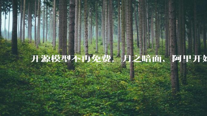 开源模型不再免费，月之暗面、阿里开始要分成，“大模型税”能落地吗？_Qwen_收入_Kimi