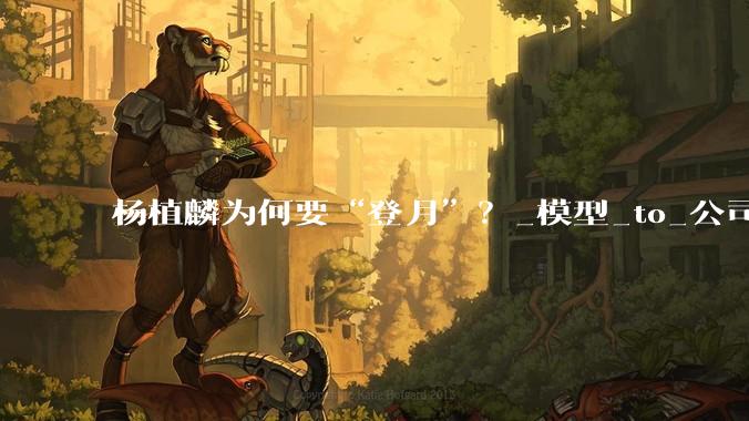 杨植麟为何要“登月”？_模型_to_公司