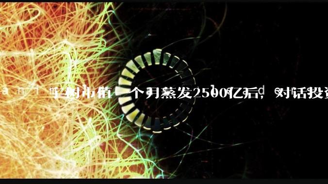 宇树市值一个月蒸发2500亿后，对话投资人：具身智能的泡沫体现在哪儿？_公司_科技_机器人