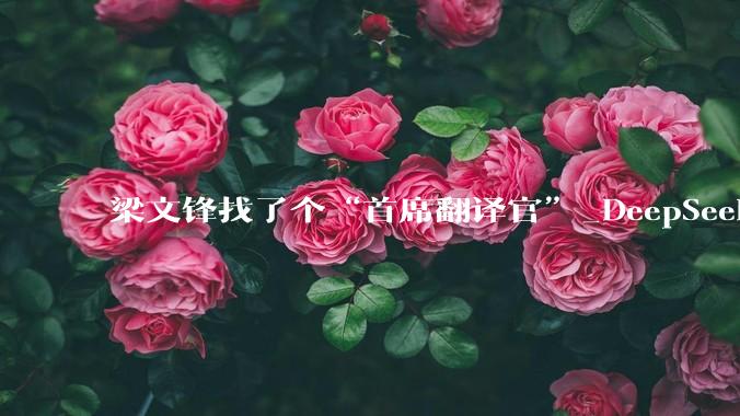 梁文锋找了个“首席翻译官”_DeepSeek_严文_投资