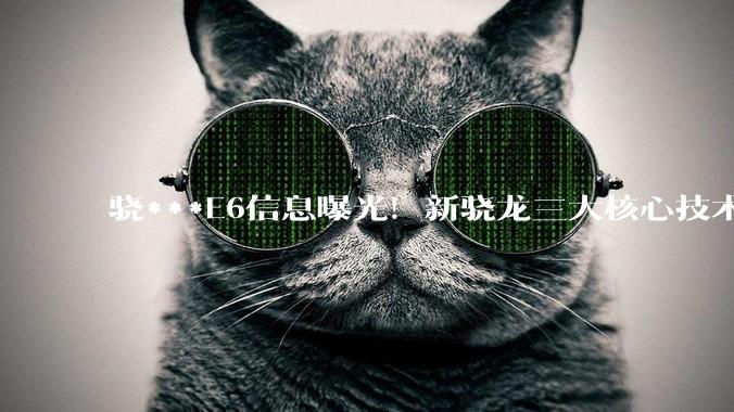 骁***E6信息曝光！新骁龙三大核心技术深度解析抢先看 - *