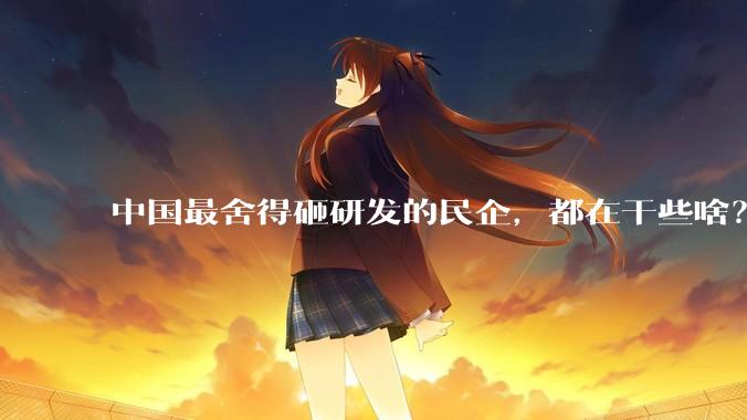 中国最舍得砸研发的民企，都在干些啥？_比亚迪_华为_企业