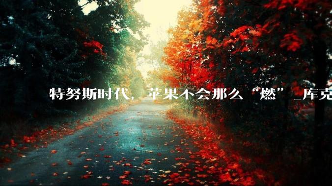 特努斯时代，苹果不会那么“燃”_库克_产品_创新