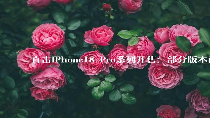 直击iPhone18 Pro系列开售：部分版本已破发，还有人为苹果整晚“守夜”_Store_Apple_队伍