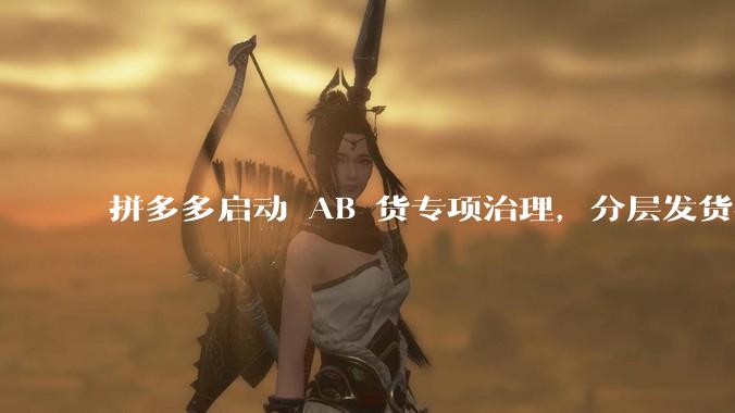 拼多多启动 AB 货专项治理，分层发货被列为重点 - *