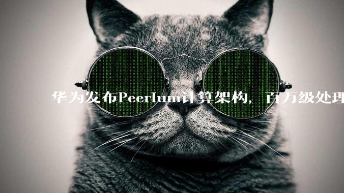 华为发布Peerium计算架构，百万级处理器成为一台计算机 - *