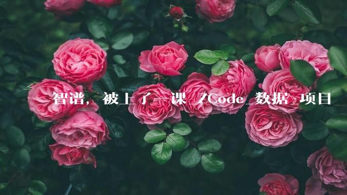 智谱，被上了一课_ZCode_数据_项目