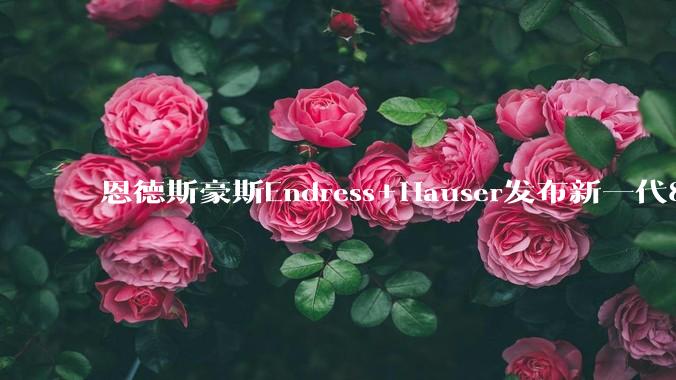 恩德斯豪斯Endress+Hauser发布新一代80GHz雷达液位计 破解复杂工况液位测量难题 - *