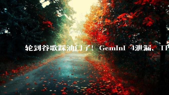 轮到谷歌踩油门了！Gemini 4泄漏、TPU上天、工程师因「太快」辞职_Koray_Pro_DeepMind