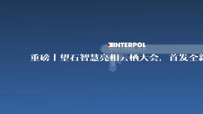重磅丨望石智慧亮相云栖大会，首发全新小分子医药早研智能体MolVortex，引领智能体进入真实研发决策 - *