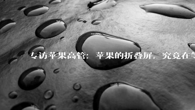 专访苹果高管：苹果的折叠屏，究竟在等什么？_iPhone_Duo_充电