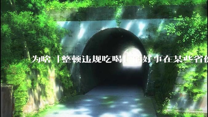 为啥「整顿违规吃喝」的好事在某些省份落实成了「吃饭违规」？这会对当地的餐饮行业造成影响吗？