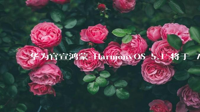 华为官宣鸿蒙 HarmonyOS 5.1 将于 7 月开启升级，对此你怎么看？会选择第一时间升级吗？