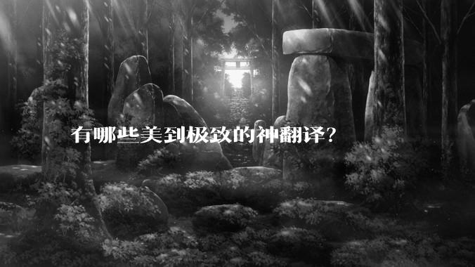 有哪些美到极致的神翻译？