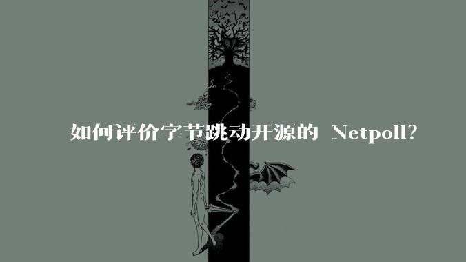如何评价字节跳动开源的 Netpoll？
