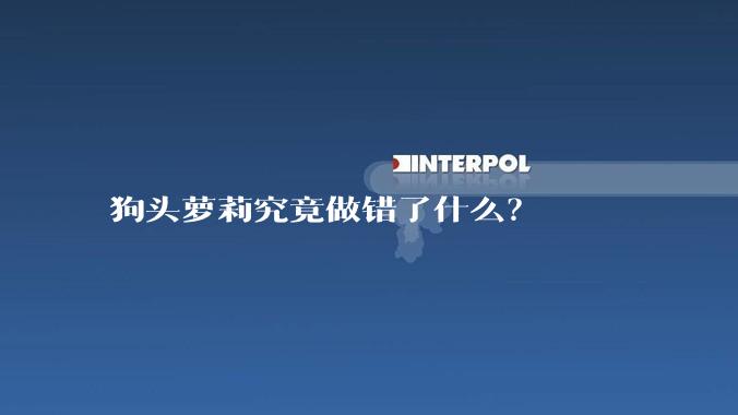 狗头萝莉究竟做错了什么？