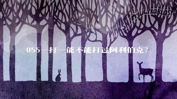 055一打一能不能打过阿利伯克？
