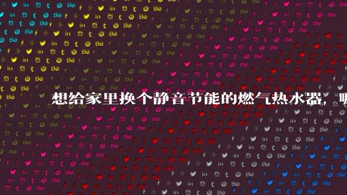 想给家里换个静音节能的燃气热水器，哪个品牌比较好？