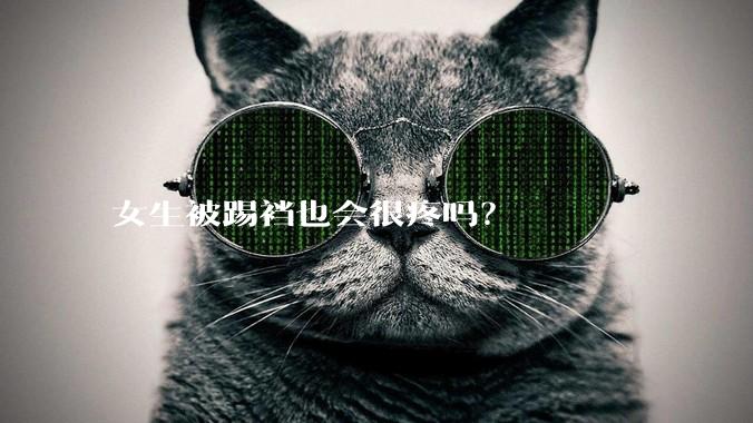 女生被踢裆也会很疼吗？