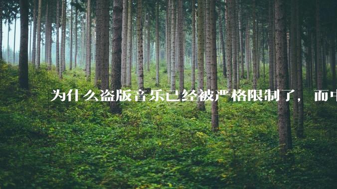 为什么盗版音乐已经被严格限制了，而中国音乐却还是没有发展起来？