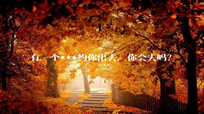 有一个***约你出去，你会去吗？