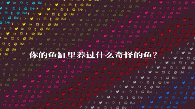 你的鱼缸里养过什么奇怪的鱼？