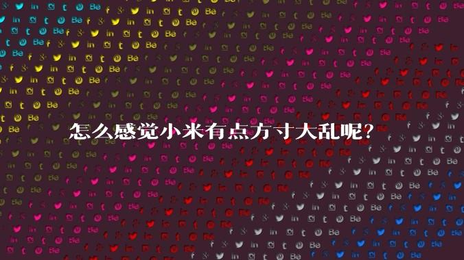 怎么感觉小米有点方寸大乱呢？