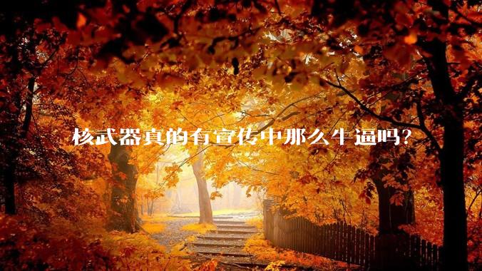 核武器真的有宣传中那么牛逼吗？