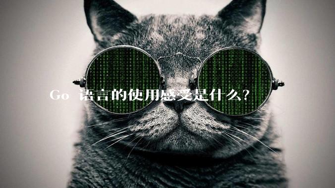 Go 语言的使用感受是什么？