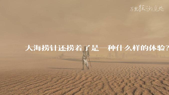 大海捞针还捞着了是一种什么样的体验？