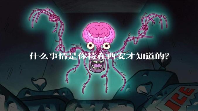 什么事情是你待在西安才知道的？
