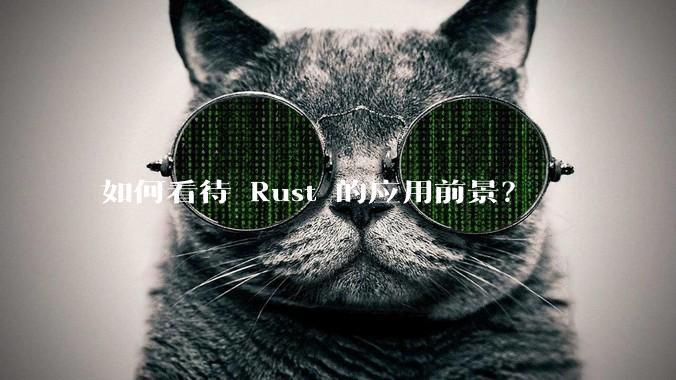 如何看待 Rust 的应用前景？
