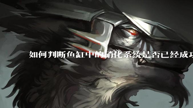如何判断鱼缸中的硝化系统是否已经成功建立？