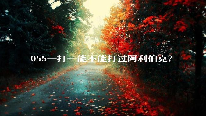 055一打一能不能打过阿利伯克？